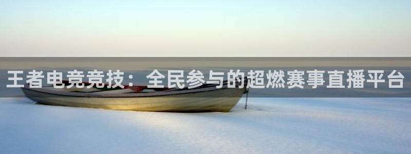 球帝833直播入口：王者电竞竞技：全民参与的超燃赛事直播平台