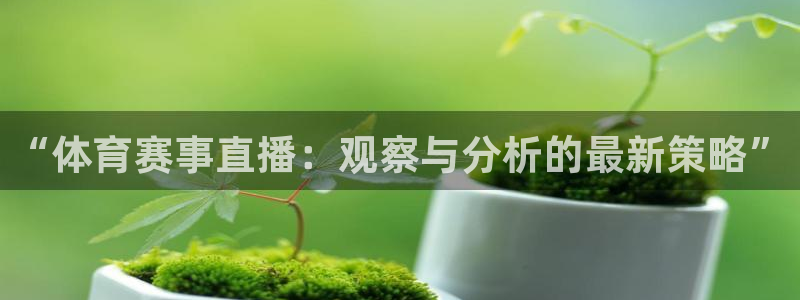 833体育：“体育赛事直播：观察与分析的最新策略”
