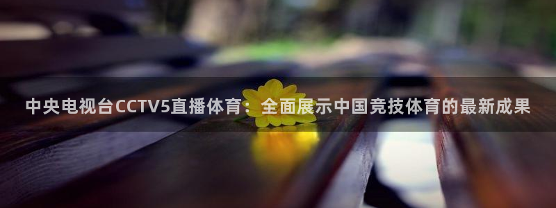 3833tv直播：中央电视台CCTV5直播体育：全面展示中国竞技体育的最新成果