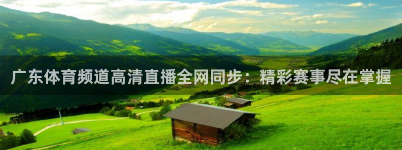 833赛事直播：广东体育频道高清直播全网同步：精彩赛事尽在掌握