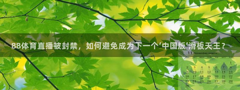 833直播：88体育直播被封禁，如何避免成为下一个‘中国版’滑板天王？