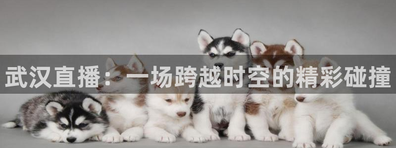 833足球直播：武汉直播：一场跨越时空的精彩碰撞