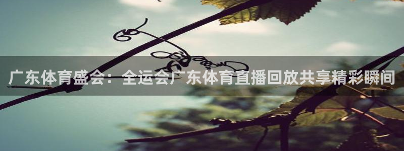 833足球比赛直播免费观看：广东体育盛会：全运会广东体育直播回放共享精彩瞬间