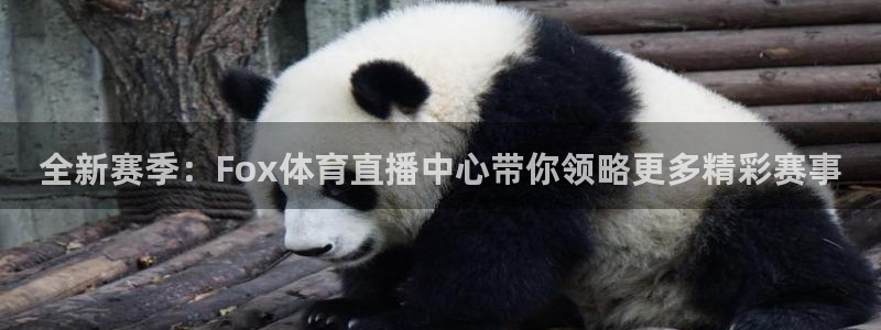 833足球直播：全新赛季：Fox体育直播中心带你领略更多精彩赛事