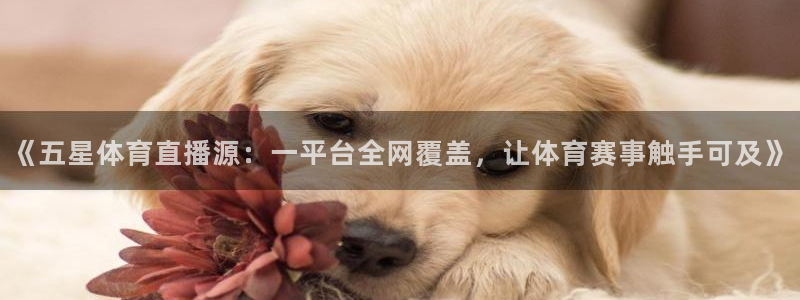 833体育在线直：《五星体育直播源：一平台全网覆盖，让体育赛事触手可及》