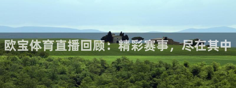 833直播足球比赛在线观看下载