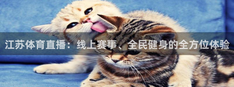 833体育直播在线观看：江苏体育直播：线上赛事、全民健身的全方位体验