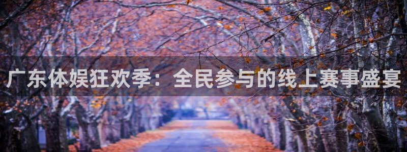 833足球比赛直播：广东体娱狂欢季：全民参与的线上赛事盛宴